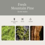 Drift Car Air Freshener - Stone Air Freshener Car Odor Eliminator - Long Lasting Scent - Auto Accessories - Metal Clip - Essential Oils - Clean Ingredients - Pine Scent Starter Kit - Image 3