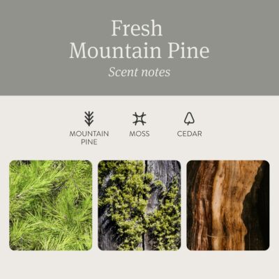 Drift Car Air Freshener - Stone Air Freshener Car Odor Eliminator - Long Lasting Scent - Auto Accessories - Metal Clip - Essential Oils - Clean Ingredients - Pine Scent Starter Kit - Image 3