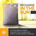 Activated Charcoal Odor Absorber for Strong Odors in Car, Closet, Shoe, Basement. 10 Activated Charcoal Bags Odor Absorbers for Home. Bamboo Charcoals Air Purifying Bag Charcoals Deodorizer Eliminator - Image 2