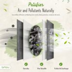 1000g Large Bamboo Charcoal Air Purifier Bag - Car Deodorizer Freshener - Remove Odor and Control Moisture in Your RV, Camper, SUV, Truck, Closet, Mobile Home, Storage - Non fragrant 1kg - Image 5