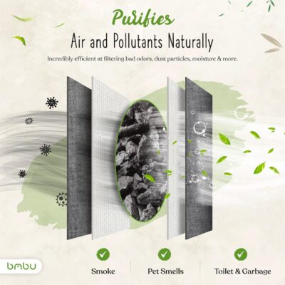 1000g Large Bamboo Charcoal Air Purifier Bag - Car Deodorizer Freshener - Remove Odor and Control Moisture in Your RV, Camper, SUV, Truck, Closet, Mobile Home, Storage - Non fragrant 1kg - Image 5