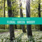 Ozium . Air Sanitizer & Odor Eliminator for Homes, Cars, Offices and More, Outdoor Essence, 0.8 Oz( Pack of 6) (packaging may vary) - Image 5