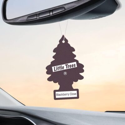 LITTLE TREES Car Air Freshener | Hanging Paper Tree for Home or Car | Blackberry Clove | Pack of 24 - Image 4
