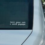 Tell Your Cat I Said Pspsps Car Vinyl Decal Window Bumper Sticker, 6x2 Inches, Durable White Design for Cars, Laptops, and Smooth Surfaces