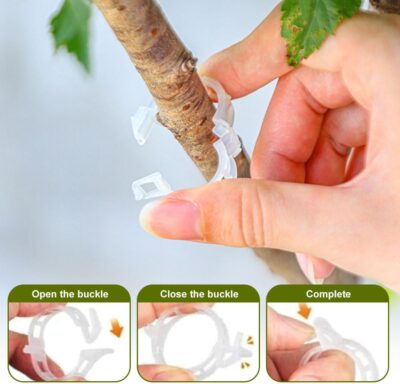 Plant Support Clips,100/150/300 PCS Plant Clips for Climbing Plants Clear for Tomato Grape,Garden Clip Plants Support Clip Garden Clips Vine Vegetables Fixing Clip (White-50pcs) - Image 6