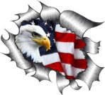 2 Pack American Bald Eagle Car Decal Sticker, 5.91X5.51 Inch Patriotic Eagle Truck Decal Waterproof Bumper Sticker for Car Truck Trailer SUV Van Outdoor Window Wall Laptop Tablet Glass (Number 3)