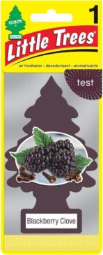 LITTLE TREES Car Air Freshener | Hanging Paper Tree for Home or Car | Blackberry Clove | Pack of 24 - Image 2