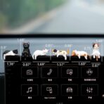 Cat Car Dashboard Decor Rear View Mirror Accessories, Set of 6 Mini Cats Cute Car Decorations Interior, Computer Monitor Figurines for Women Girl - Image 2
