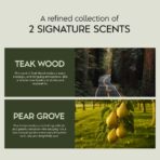 Scented Car Air Freshener - Long Lasting Essential Oil Diffuser - Car Accessories for Men & Women - Hanging Car Air Freshener Diffuser 2 Pack - 0.27FL OZ/8ML (Brown, Sandalwood) - Image 4