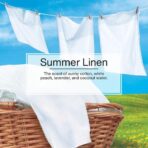 Little Trees Cardboard Hanging Car, Home & Office Air Freshener, Summer Linen (Pack of 12) - Image 5