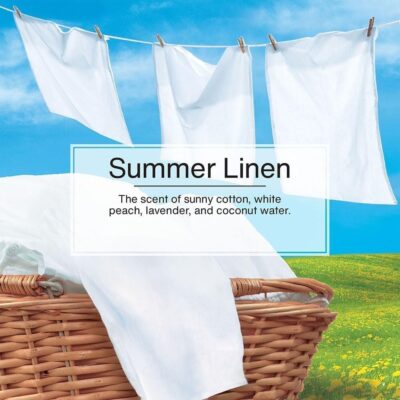 Little Trees Cardboard Hanging Car, Home & Office Air Freshener, Summer Linen (Pack of 12) - Image 5