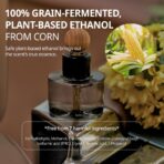 hetras Premium Car Diffuser Set(2 Pack, 2.6 fl.oz. Each), Book Store - Woody Herb Scent, Long-Lasting Fragrance, Air Freshener for Car, Car Interior Decor & Accessories, Gift-Worthy Luxurious Scent - Image 5