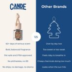 CE Craft Hanging Car Air Freshener – Fragrance Oil Diffuser with Essential Oils – Long-Lasting Aromatherapy Scents for Automobiles – 4 Pack, Masculine - Image 5