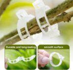 Plant Support Clips,100/150/300 PCS Plant Clips for Climbing Plants Clear for Tomato Grape,Garden Clip Plants Support Clip Garden Clips Vine Vegetables Fixing Clip (White-50pcs) - Image 4