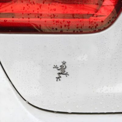 3D Metal Chrome Frog Car Emblem, Highly Distinctive car Decals, Car Decal Sticker Side Rear Trunk Decoration Accessories, Unisex Frog Auto Parts - Image 3