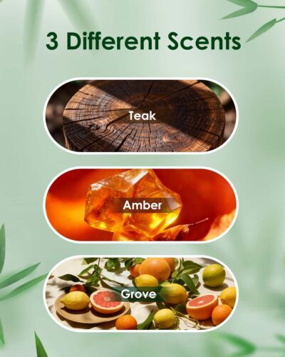 Car Air Freshener - Wood Air Freshener - Long Lasting Car Odor Eliminator for Visor Clip-Variety Scent Starter Kit, Vehicle Scent Diffuser Men&Women- Pack of 3 (Teak-Amber-Grove) - Image 2