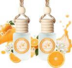 Car Air Freshener-Sunny Citrus Scent Car Fresheners Long Lasting Essential Oil Car Diffuser- Cute Car Accessories for Women Interior without Methyl Carbitol&Hexylene Glycol