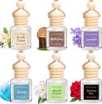 6 Pack Car Air Freshener - Mothers Day Gift for Her, Hanging Air Freshener Essential Oil Diffuser, Romantic Car Scents Cute Auto Decor Birthday Gifts for Women/Men