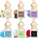 6 Pack Car Air Freshener - Mothers Day Gift for Her, Hanging Air Freshener Essential Oil Diffuser, Romantic Car Scents Cute Auto Decor Birthday Gifts for Women/Men