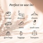 Fresh Wave Lavender Odor Eliminating & Deodorizing Packs | Bag of 6 | Safer Odor Relief for Small Spaces | Natural Plant-Based Odor Eliminator | Odor Absorbers for Home - Image 4