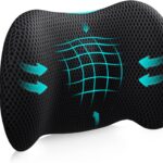 Lumbar Support Pillow for Office Chair, Car Lumbar Pillow Lower Back Pain Relief, Memory Foam Back Cushion with 4D Mesh Cover and Adjustable Straps, Ergonomic Chair Back Pillow for Car,Bed, Gaming