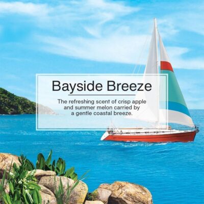 Little Trees Cardboard Hanging Car, Home & Office Air Freshener, Bayside Breeze (Pack of 12) - Image 4