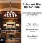 HoogaLife Car Air Freshener Hanging 2 Pack - Hotel Collection Diffuser Oil Inspired by Cabane & Rltz. CarIton Hotel - NO.1012 Fragrance Oil, Car Fresheners for Women Made in USA (081) - Image 2