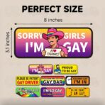 Funny Bumper Stickers Gay Pride Magnets Car Prank Stickers Magnetic LGBTQ Car Stickers for Vehicles and Trucks or Fridge Magnet - Image 3