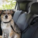 Pet Car Seat Belt for Backseat, Retractable Dog Safety Leash with Tether - Adjustable Polyester Vehicle Harness for Small Medium Dogs & Cats, Car Travel Accessories - Image 2