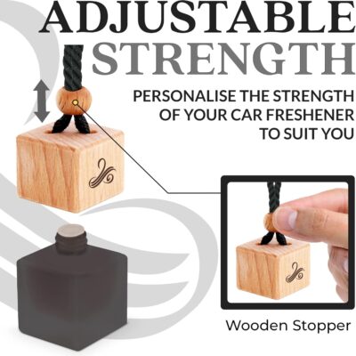 Greed Car Air Freshener for Men | Perfume Inspired Fragrances | Strong Car Freshener with Odour Eliminator Technology | Air Freshener | Long Lasting Automotive Freshener by Perfa - Image 6