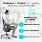 Seat Cushions for Office Chairs with Lumbar Support, Desk Chairs, and Car Seats - Adjustable Straps and Non-Slip Ergonomic Design for Tailbone and Lower Back Pain Relief for All Day Use - Image 2