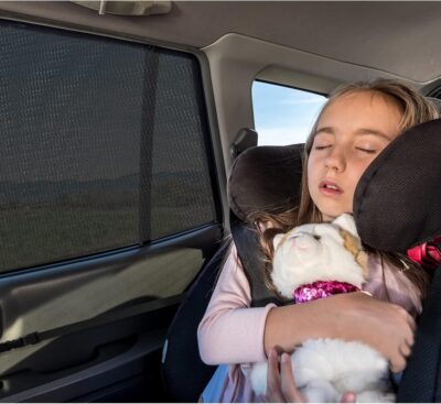 2 Packs Mesh Car Window Screen for MPV Sliding Door,Single Layer Sunshade for Large Square Car Truck Windows - Image 3