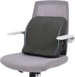 baibu Lumbar Support Pillow for Office Chair, Memory Foam Back Support Cushions Ergonomic Orthopedic Lumbar Pillow for Home, Office, Car, Dark Grey