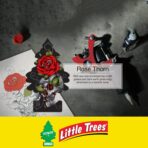 Little Trees Car Air Freshener | Hanging Paper Tree for Home or Car | Rose Thorn | 6 Pack - Image 4