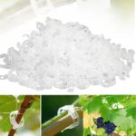 Plant Support Clips,100/150/300 PCS Plant Clips for Climbing Plants Clear for Tomato Grape,Garden Clip Plants Support Clip Garden Clips Vine Vegetables Fixing Clip (White-50pcs)