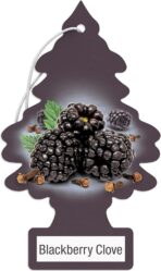 LITTLE TREES Car Air Freshener | Hanging Paper Tree for Home or Car | Blackberry Clove | Pack of 24