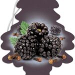 LITTLE TREES Car Air Freshener | Hanging Paper Tree for Home or Car | Blackberry Clove | Pack of 24