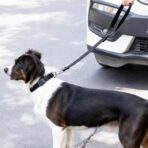 Pet Car Seat Belt for Backseat, Retractable Dog Safety Leash with Tether - Adjustable Polyester Vehicle Harness for Small Medium Dogs & Cats, Car Travel Accessories - Image 8