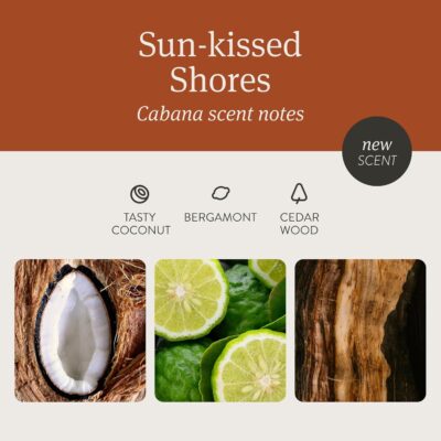 Drift Car Air Freshener - The Original Wood Air Freshener - Car Odor Eliminator - Long Lasting Scent - Auto Accessories - Metal Clip - Essential Oils - Clean Ingredients - Cabana Scent Starter Kit - Image 3