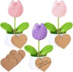 3 PCS Crochet Flower Pot,Crochet Tulip Small Potted Plants Handmade Knitted Flower Mothers Day Valentines Gifts Desk Car Dashboard Decor Gifts