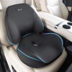 FLORICH Lumbar Support Pillow and Car Seat Cushion, Ergonomic Back Support Pillow and Seat Chair Cushion for Office Chair Memory Foam Lumbar Support and Car Seat Cushion for Car Seat Driver - Black