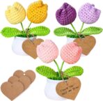 3 PCS Crochet Flower Pot,Crochet Tulip Small Potted Plants Handmade Knitted Flower Mothers Day Valentines Gifts Desk Car Dashboard Decor Gifts