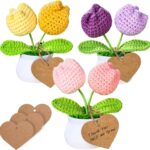3 PCS Crochet Flower Pot,Crochet Tulip Small Potted Plants Handmade Knitted Flower Mothers Day Valentines Gifts Desk Car Dashboard Decor Gifts
