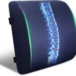 Back Support Pillow for Office Chair and Car Seat,Lumbar Support for Office,Charcoal Memory Foam Back Cushion-Breathable Mesh Cover,Double Adjustable Straps,Dark Blue