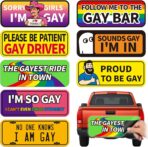 Funny Bumper Stickers Gay Pride Magnets Car Prank Stickers Magnetic LGBTQ Car Stickers for Vehicles and Trucks or Fridge Magnet