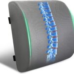 Lumbar Support Pillow for Office Chair and Car,Back Support for Office Chair,Charcoal Memory Foam Back Cushion with Breathable Mesh Cover,Double Adjustable Straps,Grey