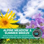 Refresh Your Car Mini Diffuser Car Air Fresheners, Alpine Meadows / Summer Breeze Scent, 2 Pack - Image 3
