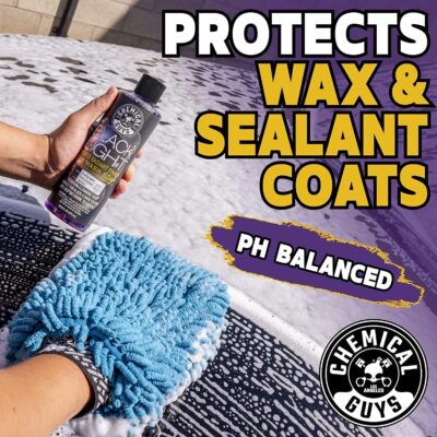 Chemical Guys Black Light Hybrid Radiant Finish Car Wash Soap and Superior Surface Cleanser 2 Pack (2 X 16 Fl. Oz.) - Gloss Enhancing pH Balanced Formula for Maximum Shine - Image 5