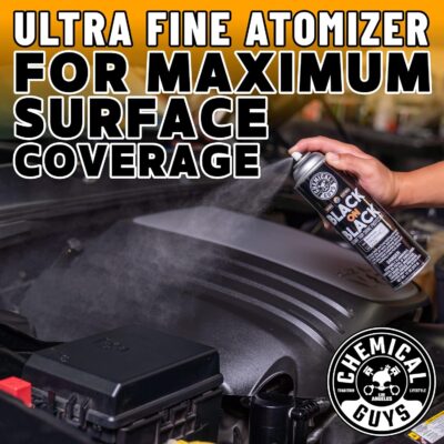 Chemical Guys AIR_SPRAY_1 Black On Black Instant Trim Shine Exterior Spray Dressing & Protectant, (Safe for Cars, Trucks, SUVs, RVs, & More) 11 fl oz - Image 11