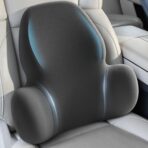 Lumbar Support Pillow with Fixed Chuck | Ergonomic Memory Foam Cushion | Washable Cover | Back Pain Relief & Posture Improvement | Fits Car/Office/Gaming Chairs/Wheelchairs & Home